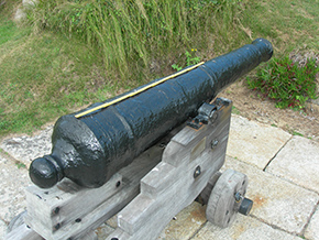 Cannons of Practised Shot